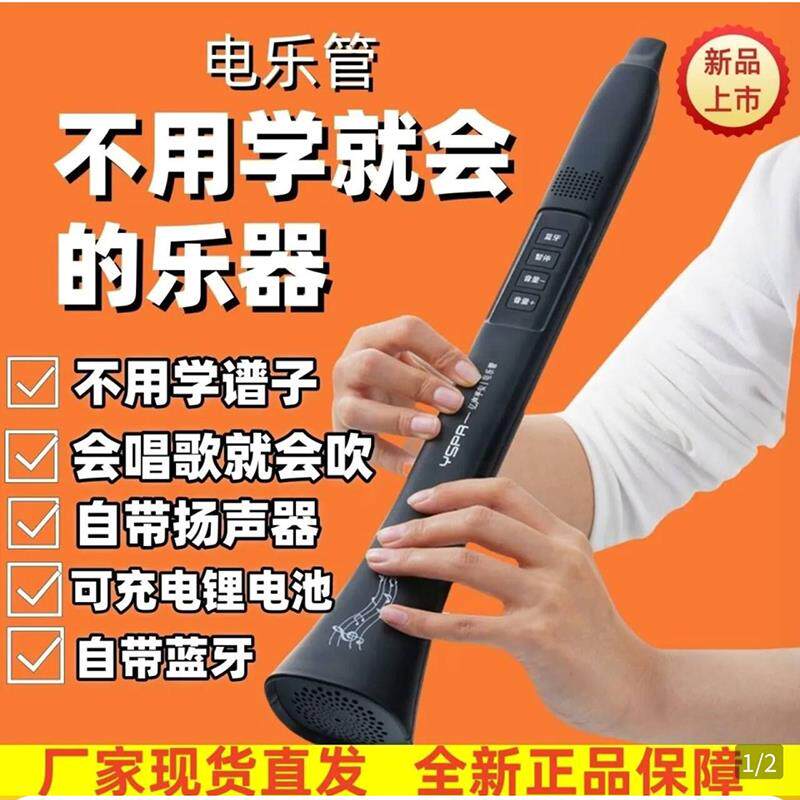 极可品牌电乐管会唱歌就会的乐器自动挡伴奏自带蓝牙大音量扬声器