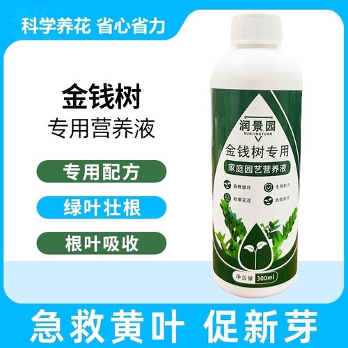 润景园金钱树专用家庭园艺浓缩营养液绿叶壮根防黄免稀释发财树