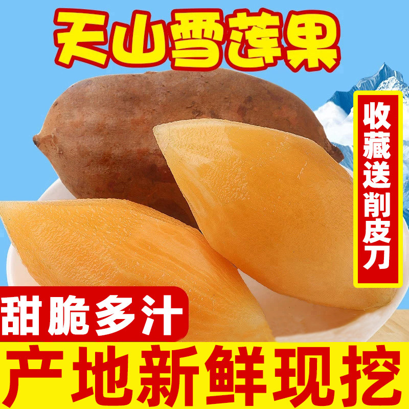 云南天山雪莲果10斤当季新鲜现挖红心水果黄红泥沙雪连果整箱包邮|ruв категории водной мясо/свежие фрукты и овощи/еда, свежие фрукты, 雪莲果 - от Buy2taobao.com для оказания профессиональной услуги покупки агента Taobao