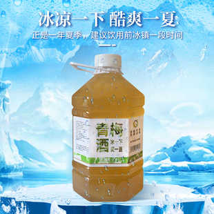 青梅风味糯米酒纯朱湖糯米发酵女生网红微醺酒