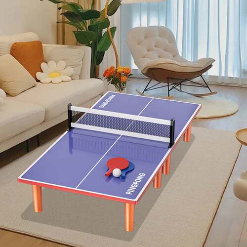 儿童家用小型室内乒乓球