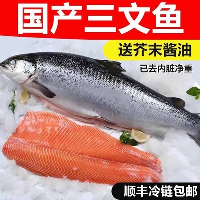 顺丰新疆整条国产虹鳟三文鱼一整只冰鲜即食冷冻刺身新鲜开片寿司