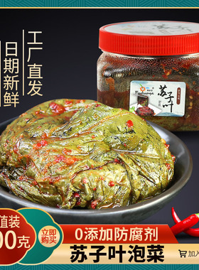新鲜苏子叶泡菜韩式风味腌紫苏下饭韩国东北延边朝鲜族小咸菜300g
