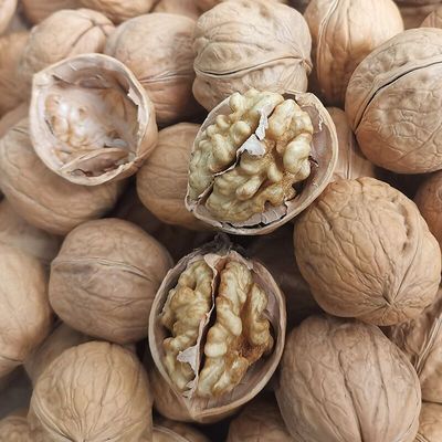 批发2025年  新货新疆特产  阿克苏185纸皮核桃散装手捏即开