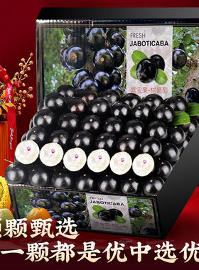 【顺丰冷链】树葡萄嘉宝果现摘沙巴稀有孕妇水果冷链颗粒包装大果