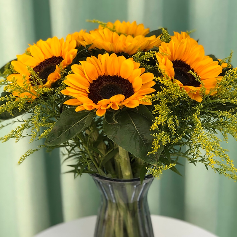 向日葵鲜花云南直发水养插花花束