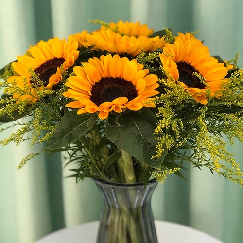 向日葵鲜花云南直发水养插花花束