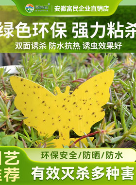 双面粘虫板强力粘杀花卉绿植家用