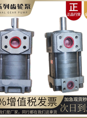 NB2-G10F G12F G16F NB3-G20F G25F G32F NB4-G40F G50F G63F油泵