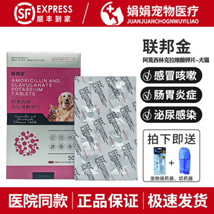 联邦金阿莫西林克拉维酸钾片宠物消炎药狗狗猫鼻支感冒肠胃炎速诺