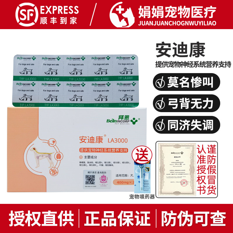 拜恩安迪康宠物狗狗猫脑膜炎图片