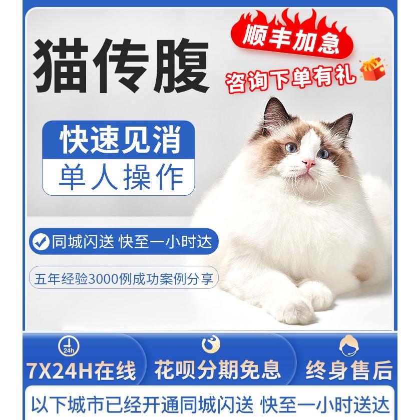 猫传腹针剂单瓶低至几十元一瓶