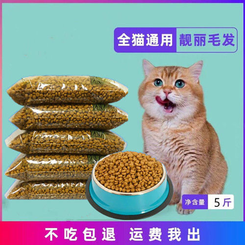流浪猫咪通用幼猫憨仕