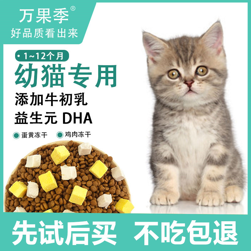 增肥离乳期冻干猫粮万果季图片