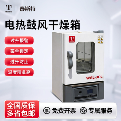 泰斯特鼓风干燥箱恒温实验烘干箱