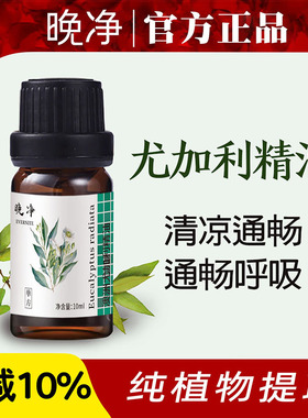澳洲尤加利精油单方天然植物香薰扩香净化空气防护保卫呼吸通鼻