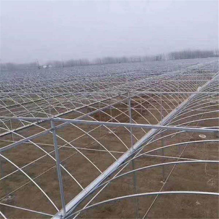 无锡温室大棚厂家现货蔬菜棚骨架连栋大棚葡萄避雨棚西瓜棚架