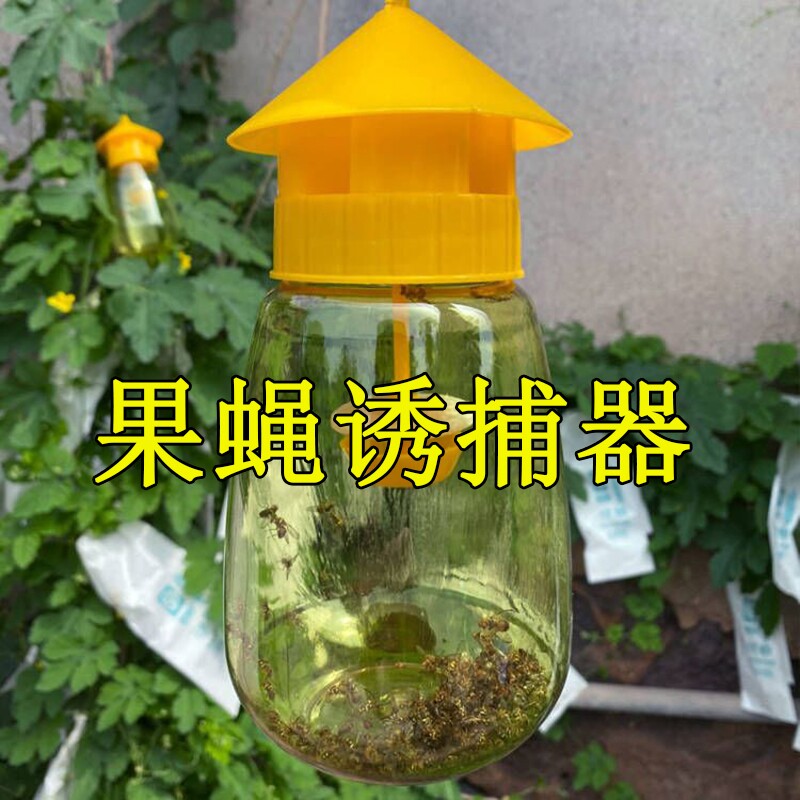 物理除虫瓶新款农场果蝇诱捕器迷果蝇超强家用蛀果虫快速灭蝇粘虫