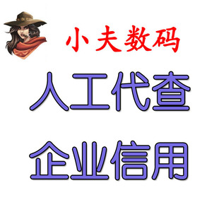 批量查询导出风险报告 天眼查企查查人工代查企业经营企业风险