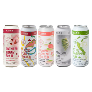 大九酿造流体芭乐九窨降临马东莓西打果酒精酿啤酒组合装500mL