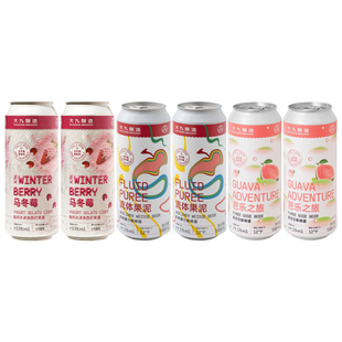大九酿造流体芭乐马冬莓国产果泥精酿啤酒500mL各两罐组合装