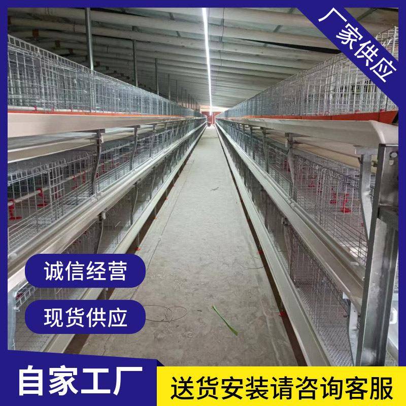元宝型肉鸡笼全自动半自动立式肉鸡笼养殖场用肉鸡笼H型肉鸡笼