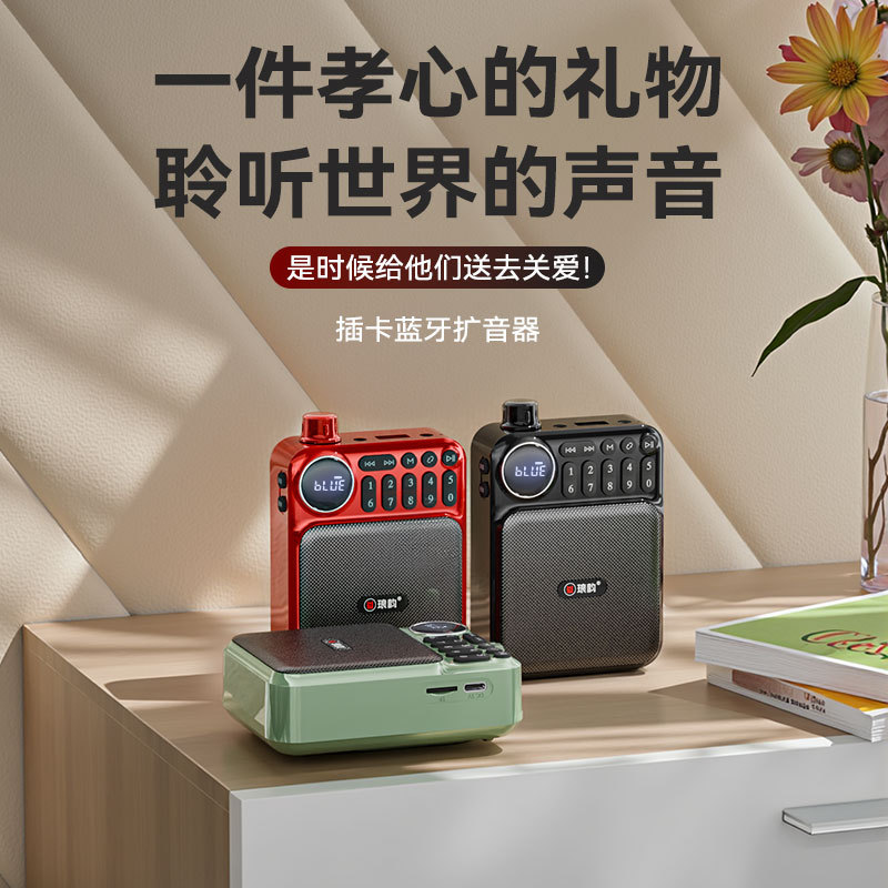 琅韵C75蓝牙插卡音响收音机老人老年随身听迷你便携播放器可充电