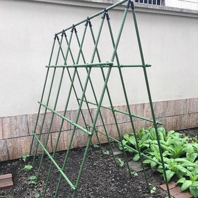 攀爬架葡萄架豆角苦瓜黄瓜爬藤架菜园蔬菜种植园艺支撑架大棚花架