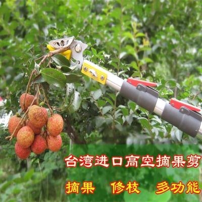 果龙眼剪剪器高摘树枝水果摘园林工具剪果采摘高空伸缩剪锯枝修剪