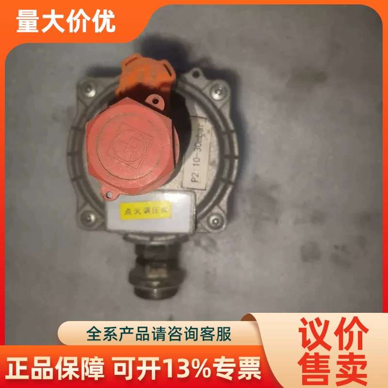 【议价】意利菲奥燃气调压阀P2 10-30bar能常