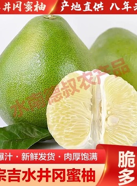 井冈蜜柚青皮柚子多汁皮薄多肉吉安特产白水基地直供现摘现发包邮