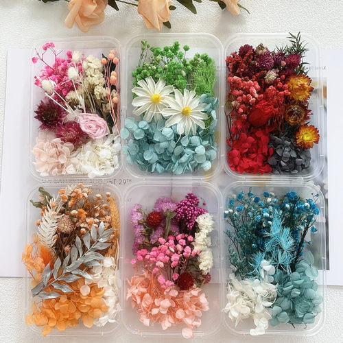 永生花干花材料包DIY相框贴画团扇浮游团建活动花艺课手工天然花