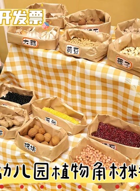 幼儿园自然秋天材料植物角环创牛皮纸袋种植区域布置装饰班级环境