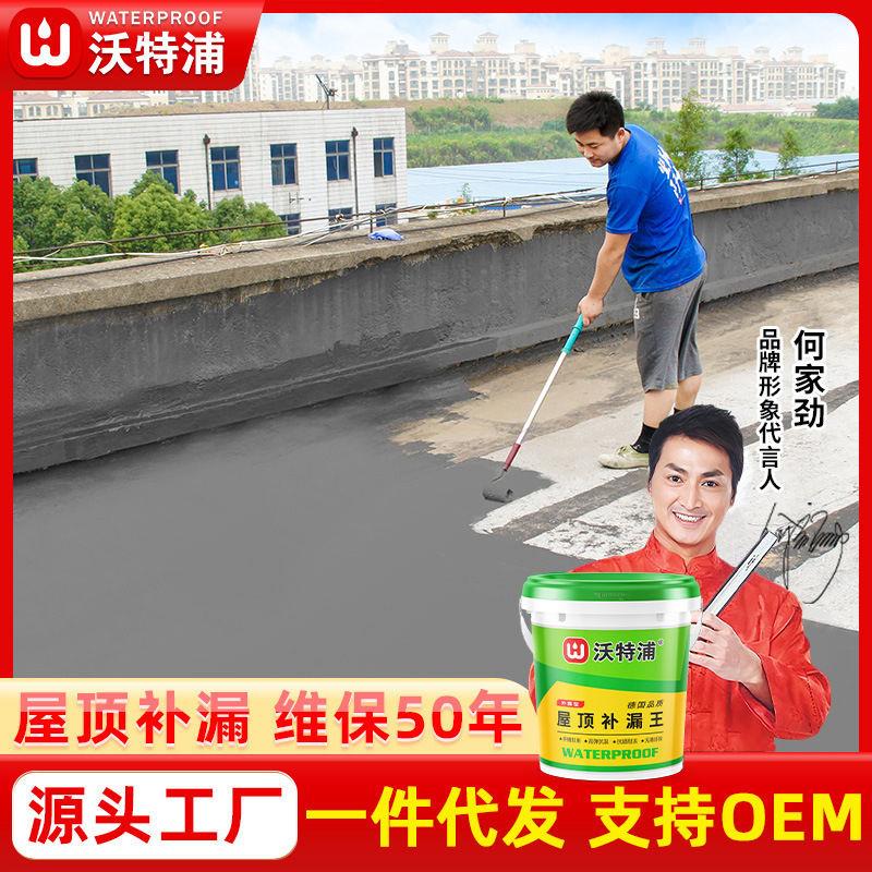 外墙水泥基防水涂料屋顶补漏王房屋漏水材料聚氨酯kg