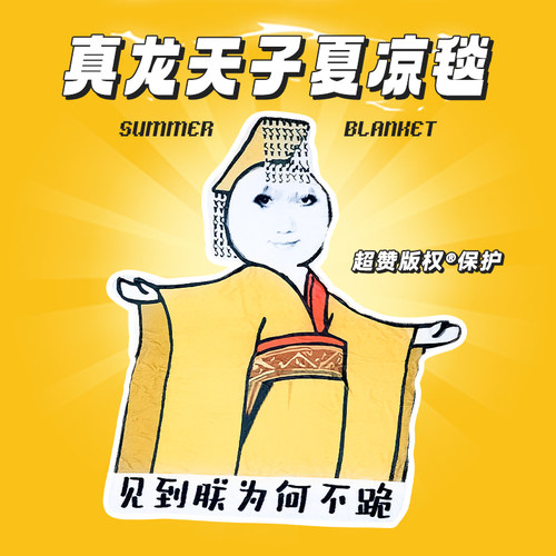 见到朕为何不跪毛毯礼物