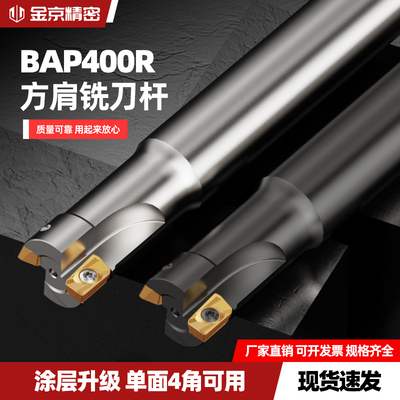 BAP400R数控铣刀杆车床直角刀杆