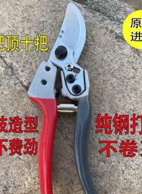 德国进口修枝剪园林剪枝剪刀修剪树枝果树花枝大力强力专业用剪子