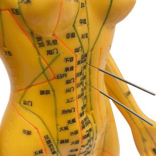 中医经络针炙穴位模型 找穴笔按摩理疗 经络穴位教学练习模具铜人