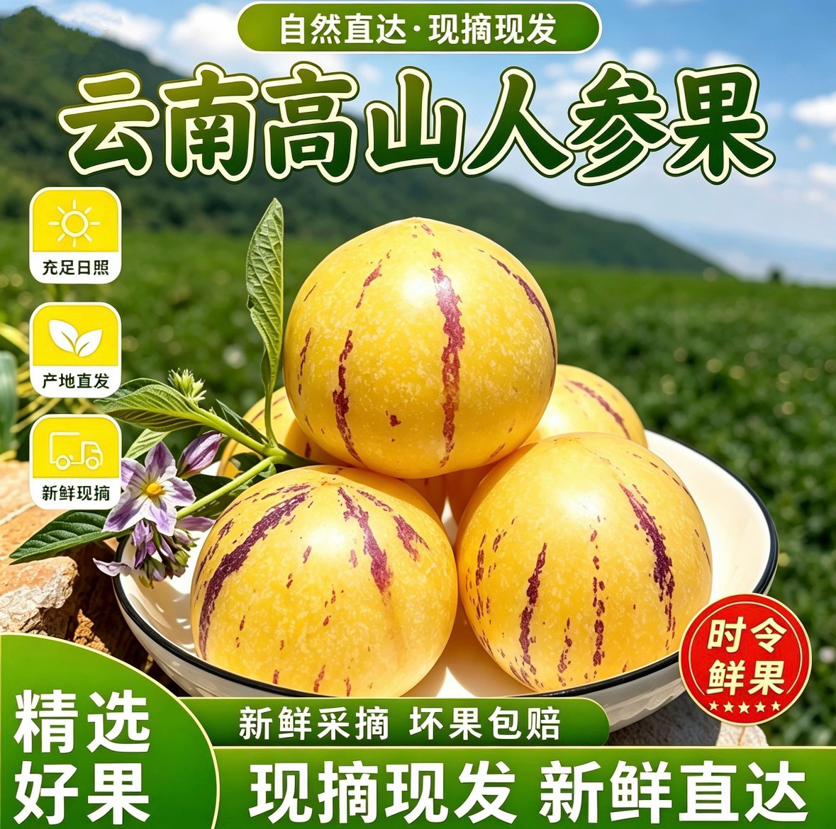 云南石林高山人参果树上熟新鲜水果包邮现摘当季特产黄肉圆果5斤