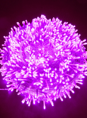 紫光紫色led防水彩灯闪灯串灯满天星家用户外挂树上装饰氛围布置