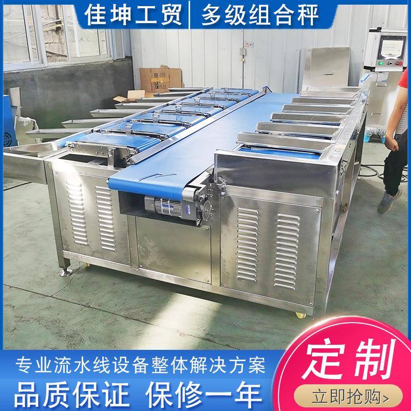 生鲜蔬果称重组合秤榴莲肉定量包装皮带秤厂家芒果干包装配重机