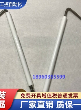BTG20P 点火电极 BTG28 离子棒 BTG11/15 百得燃烧器离子探针包邮
