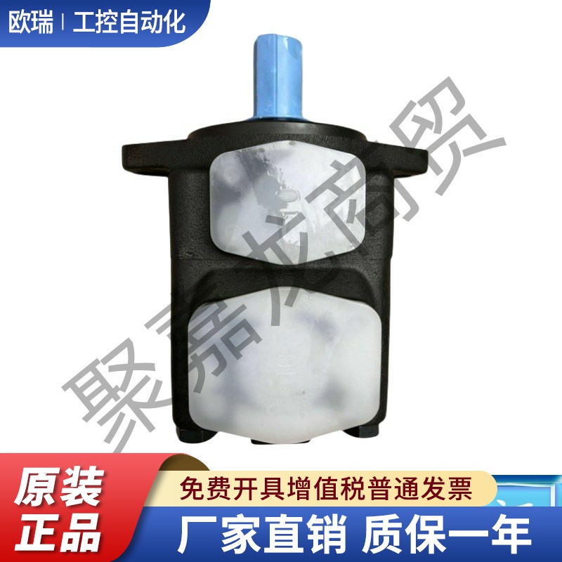 注塑机油泵25V/35VQ-14A/17A/21A/25A/30A/35A/38A-1ABCD-22