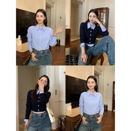 基础款条纹刺绣短款衬衫