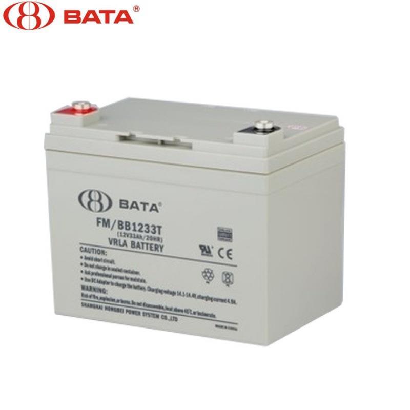 鑫晟上海BABY鸿贝蓄电池F