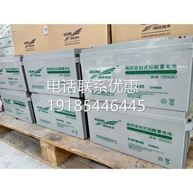 科华蓄电池12V65AH铅酸免