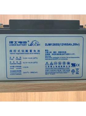 理士蓄电池DJM1265S 12V65AH/12V38AH机房/UPS电源专用直流屏铅酸
