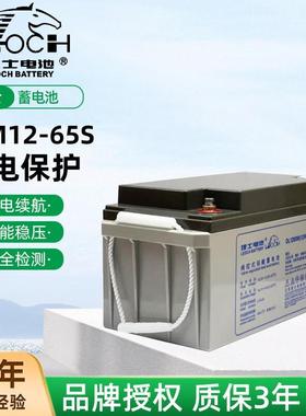 理士DJM1265S理士蓄电池12V65AH直流屏UPSEPS铅酸免维护蓄电池