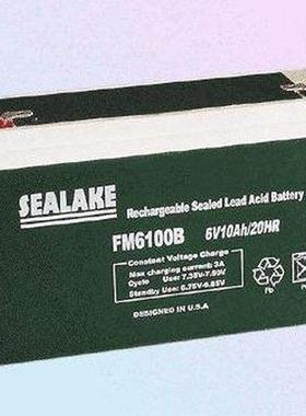 HH 海湖 蓄电池 FM6100B  6V10AH/20HR  童车 照明设备 通信电瓶