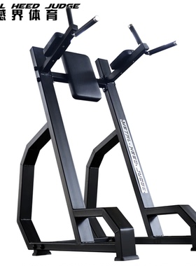 商用双杠提膝收腹训练器双杠臂屈伸多功能立式卷腹健身房私教器械